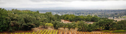 Winery view in Santa Rosa in the rain